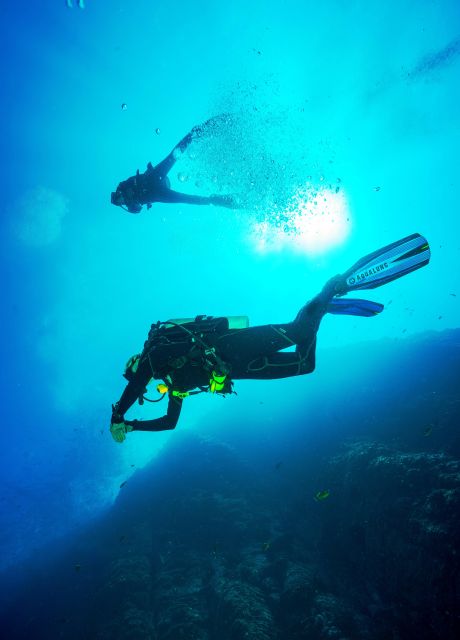 Beginner Scuba Dive With Scubapoint Tenerife in Turtle Area - Activity Overview