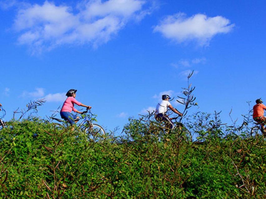 Bentota Bliss: Countryside Cycling Escape - Tour Overview and Pricing