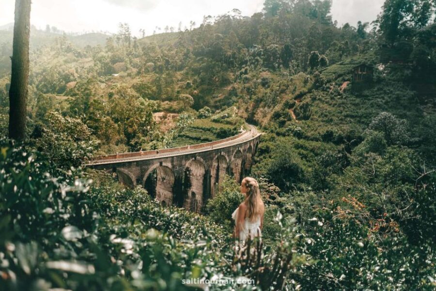 Bentota/Kalutara/Hikkaduwa: Day Trip to Ella Highlands - Tour Overview and Pricing
