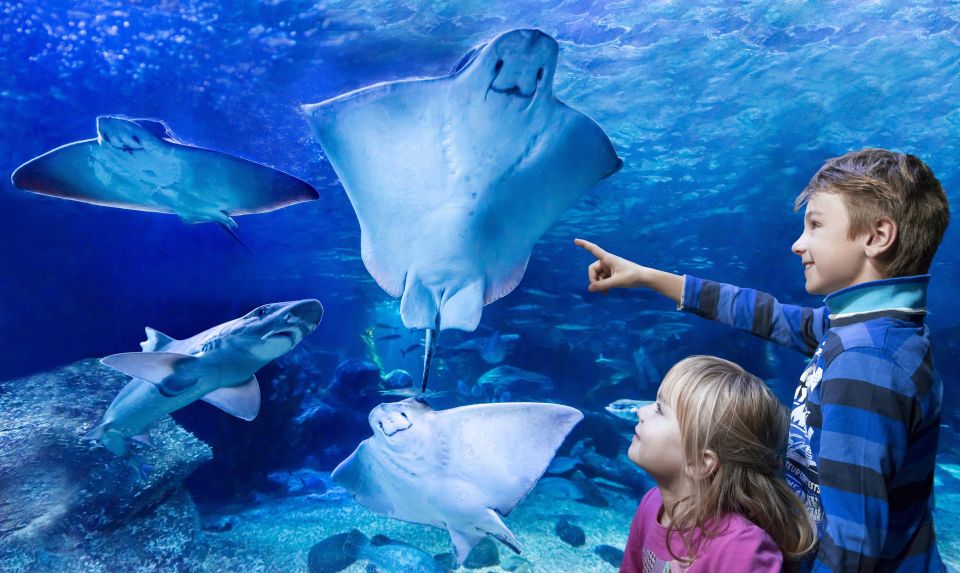 Berlin: Hop-On Hop-Off Bus & SEA Life Berlin - Pricing Details