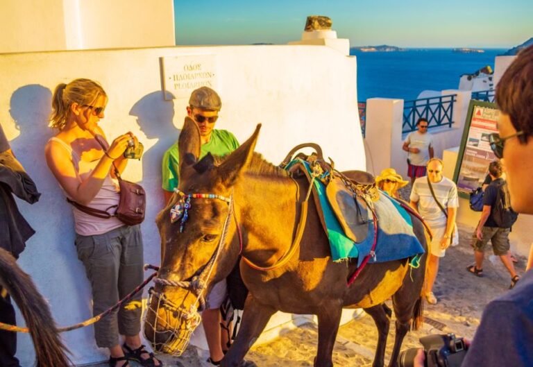 Best of Santorini Full Day Private Trip From Mykonos