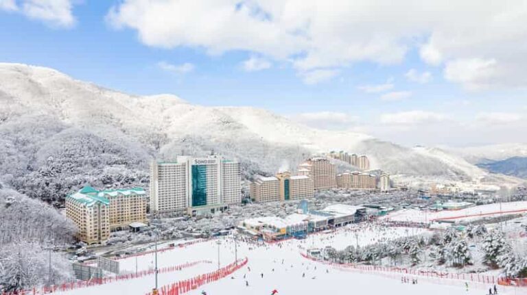 Beyond Seoul: Ski&Sled Adventure at Sono Belle Vivaldi Park