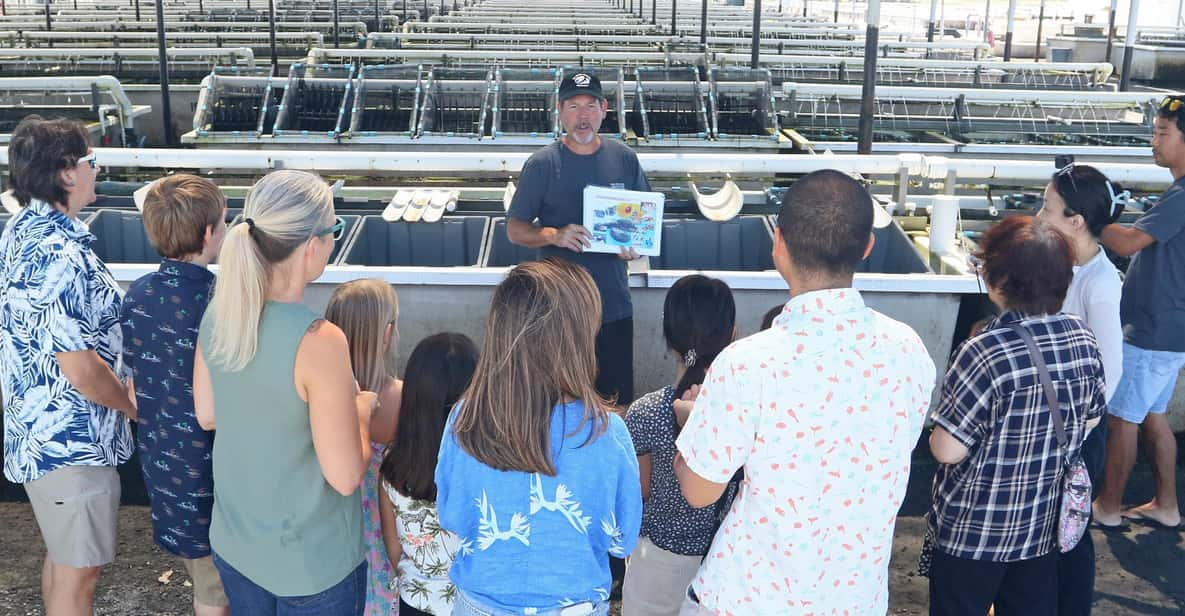 Big Island: Abalone Farm Guided Tour With Tasting - Tour Overview