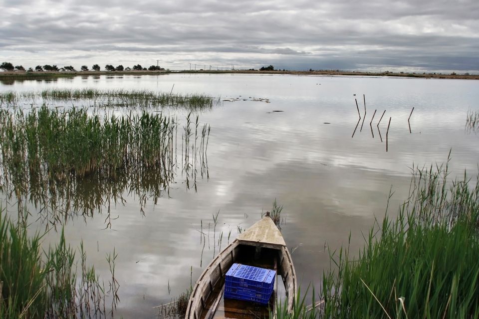 Birdwatching in the Ebro Delta - Tour Details