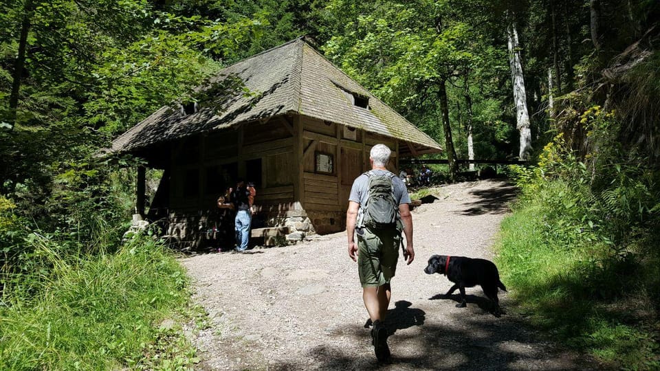 Black Forest: Ravenna Gorge Hike, Self-Guided - Overview and Pricing