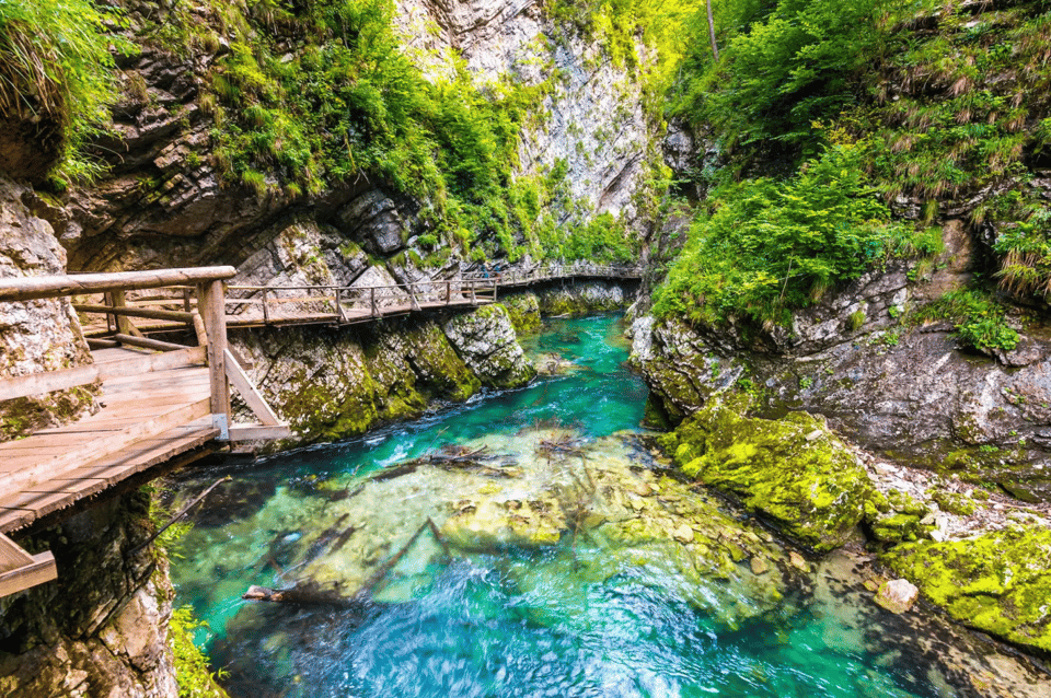 Bled: Vintgar Gorge Best Experience and Food Tasting - Food Tasting Experience