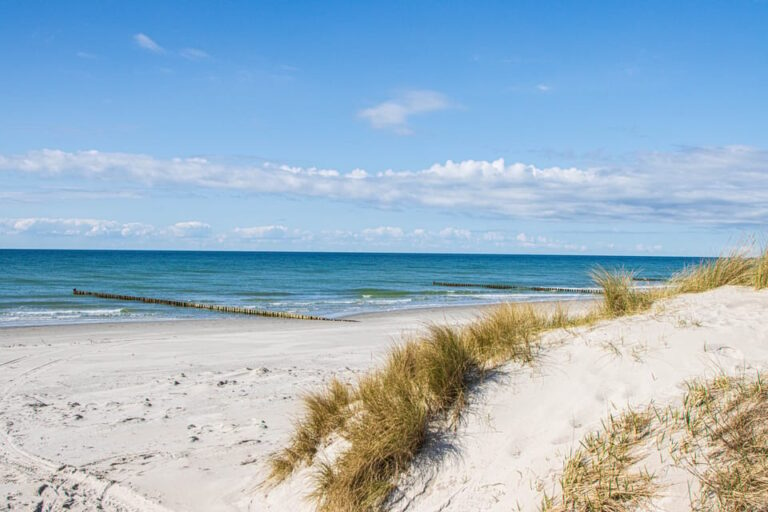 Boat Trip to the Island of Hiddensee From Zingst