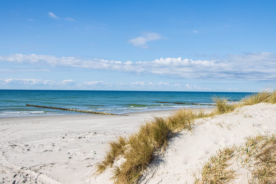 Boat Trip to the Island of Hiddensee From Zingst - Trip Overview