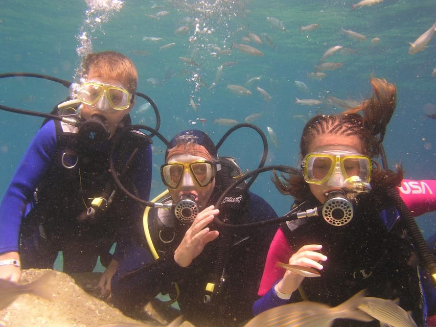 Bodrum Diving Day for Advanced and Beginner Divers - Overview of the Diving Day