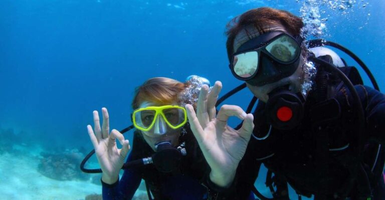 Bodrum: Full-Day Scuba Diving Tour