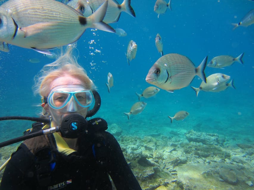 Bodrum: Scuba Diving Trip With Lunch - Overview of the Trip