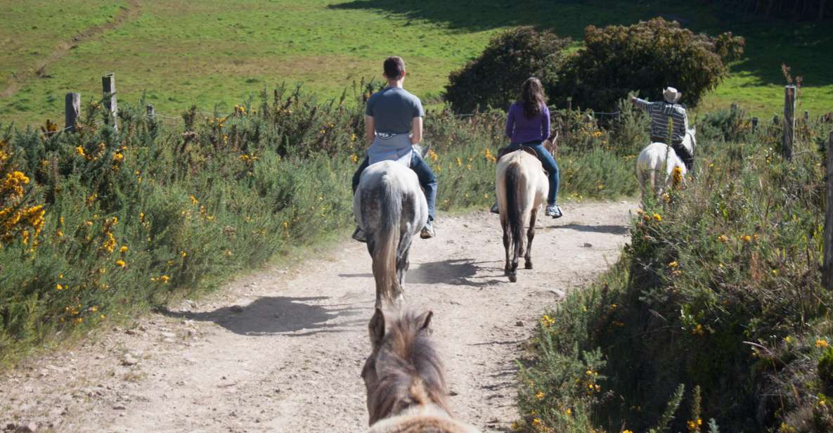 Bogota: Horseback Riding Tour - Overview of the Tour