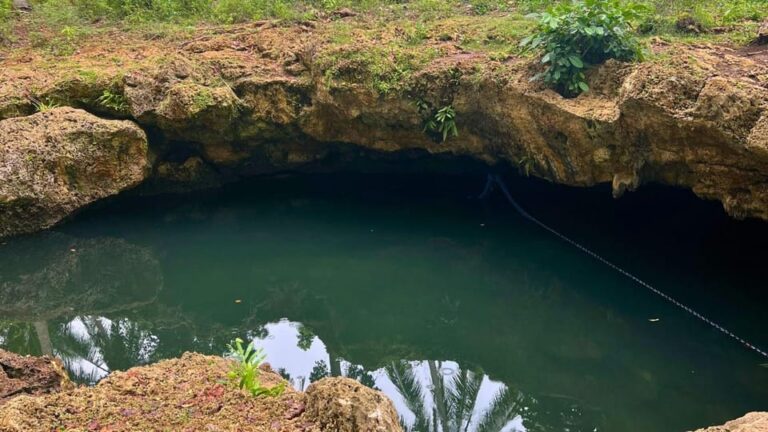 Bohol Anda-Candijay Tour: Beaches, Waterfalls, Lush Terraces