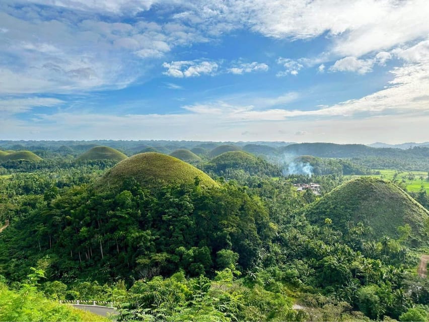 Bohol Countryside Tour W/ Roundtrip Ferry Tickets From Cebu - Tour Overview and Pricing