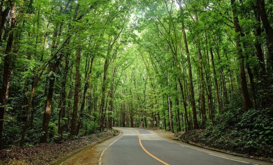 Bohol Day Tour From Cebu