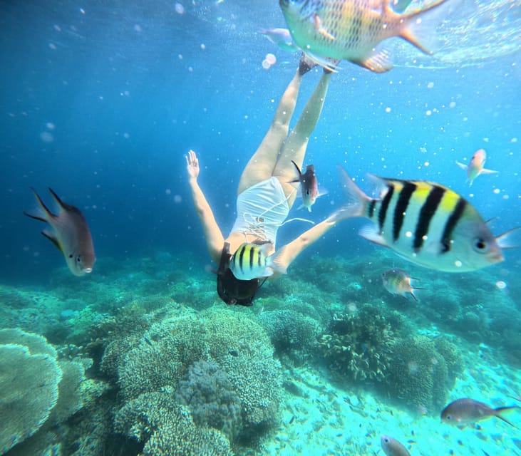 Bohol: Panglao Island Hopping Tour With Snorkeling (Private) - Visit and Swim at Virgin Island