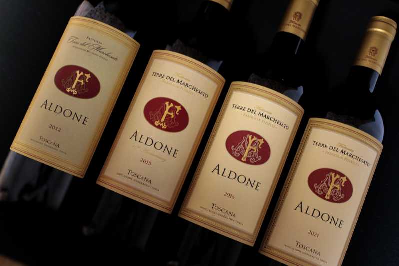 9 Best Wine Tours In Livorno