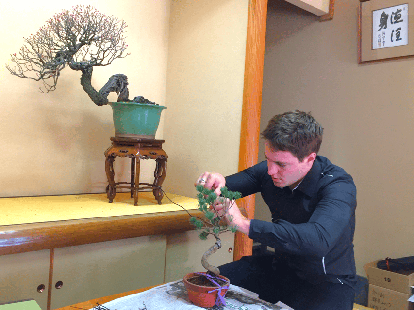 Bonsai City: Bonsai Tour & Experience at Bonsai Sanctuary - Key Experience Highlights