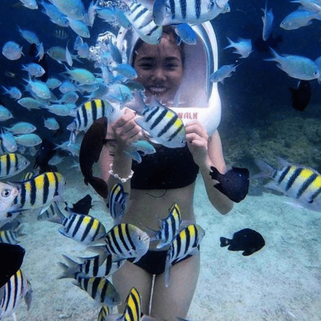 Boracay: Island Hopping With Buffet Lunch & Helmet Diving - Inclusions and Fees