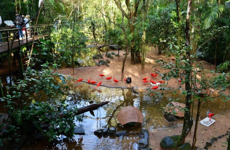 Brazilian Falls, Bird Park and Itaipu Dam