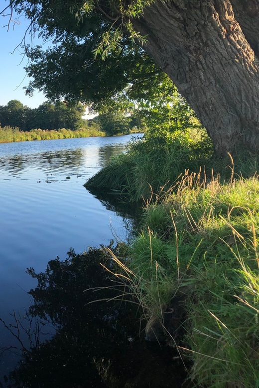 Bremen: Full-Day SUP Rental on the Wümme River - Activity Overview