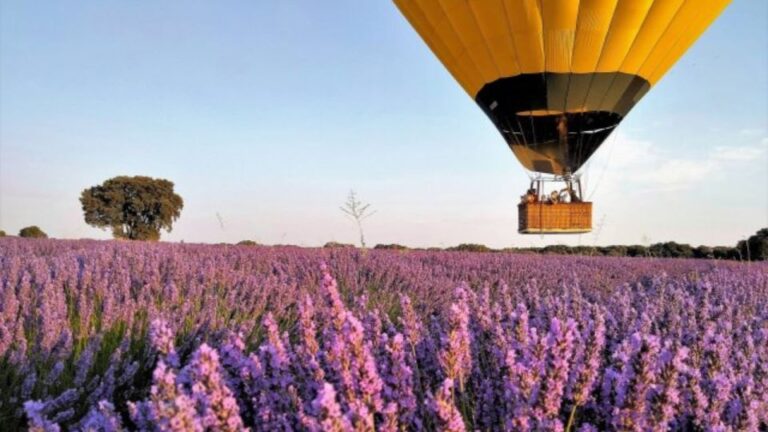 Brihuega: Balloon Flight Above Lavender Fields