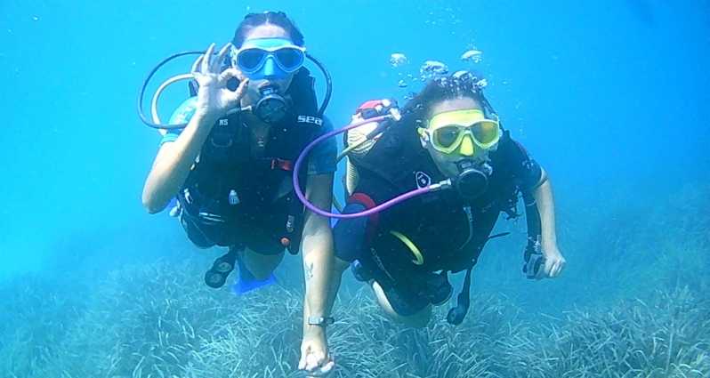 Brindisi: Scuba Diving Trip for Certified Divers - Trip Overview