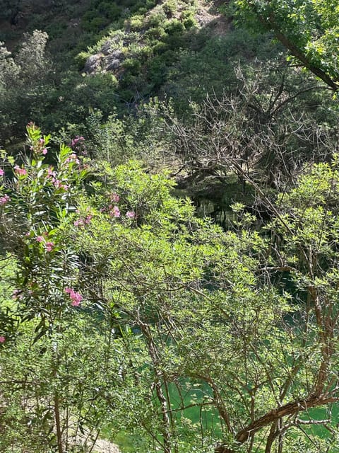 BUTTERFLY VALLEY - Overview of Butterfly Valley