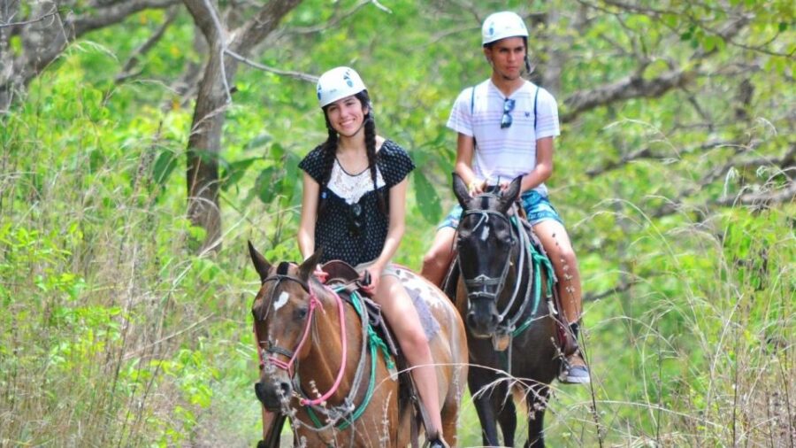 Cádiz Countryside: Ride an Andalusian Horse