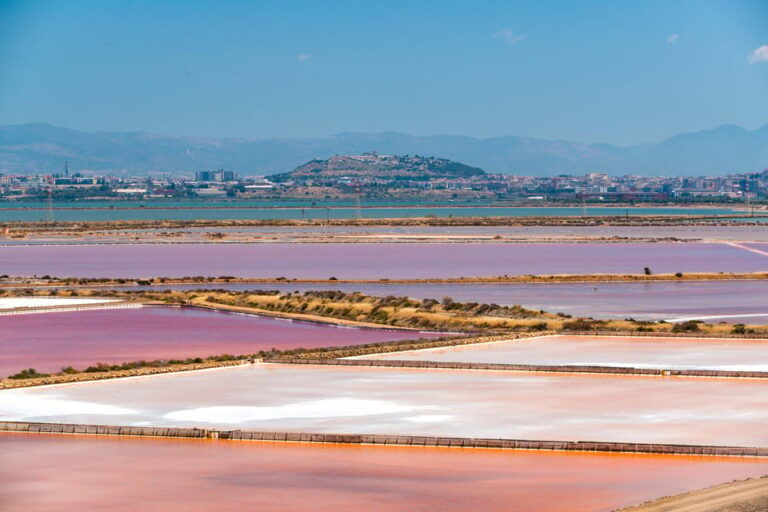 Cagliari: Conti Vecchi Salt Flats Train and Tour