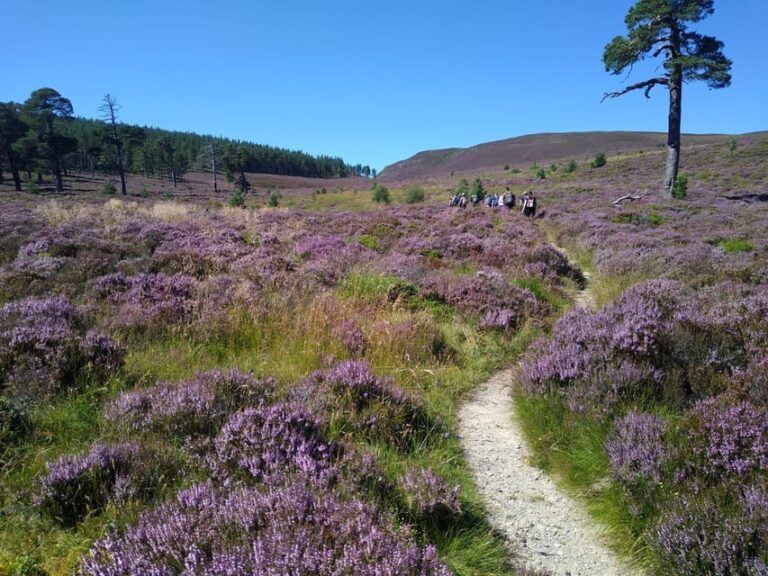 Cairngorms National Park: Mar Lodge Estate Guided Tour