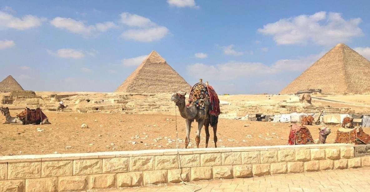 Cairo: Giza Pyramids, Egyptian Museum Day-Trip, Camel, Lunch - Tour Overview and Pricing