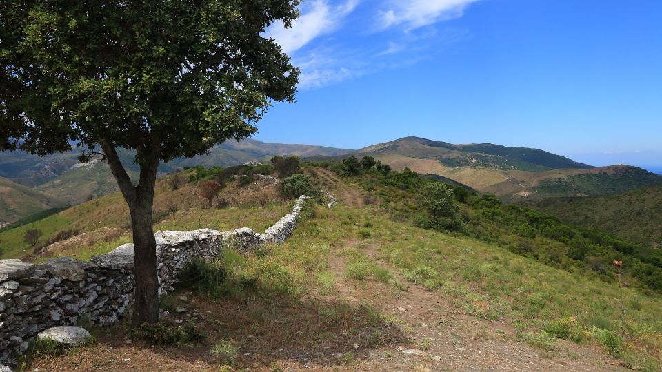 Calvi: Asco Valley 4x4 Day Tour With Guide - Tour Overview