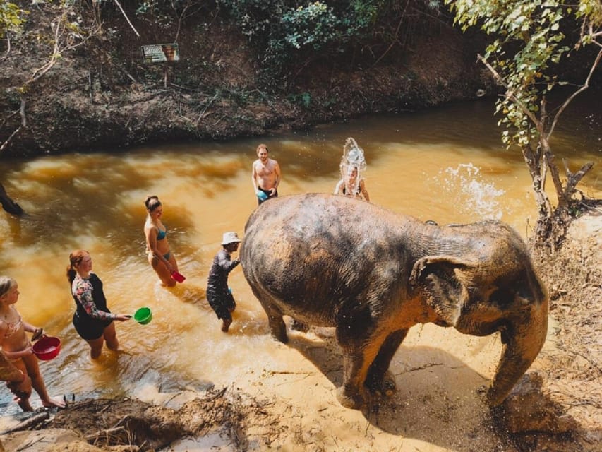 Cambodia Elephant Sanctuary and Banteay Srey Temple Tour - Tour Overview and Pricing