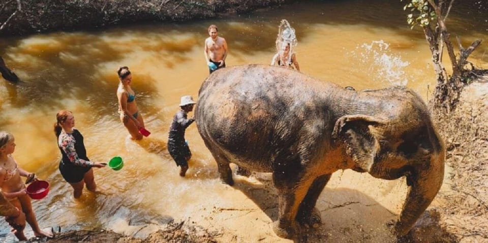 Cambodia Elephant Sanctuary and Banteay Srey Temple Tour - Tour Overview and Pricing