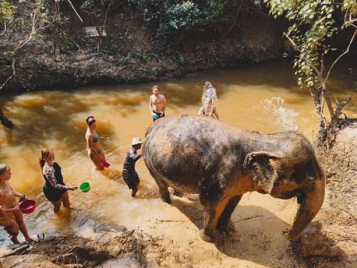 Cambodia Elephant Sanctuary Include Hotel Transfer Roundtrip - Pricing and Discounts