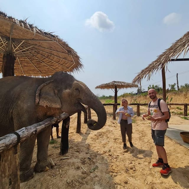 Cambodia Elephant Sanctuary, Pickup and Drop off Included - Pricing Information