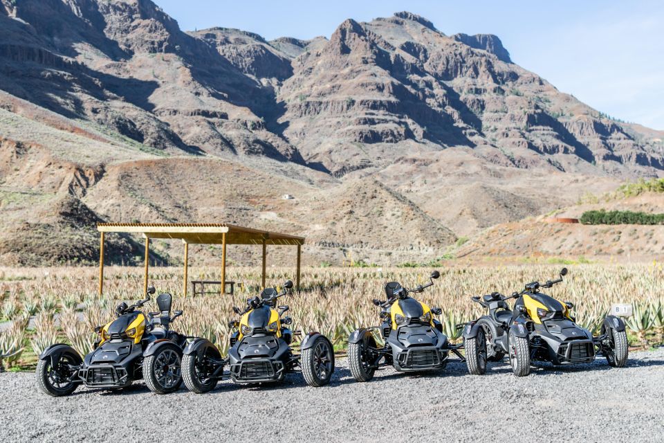 Can-Am Ryker Moto Tour: Discover the Mountain (Maspalomas) - Tour Overview