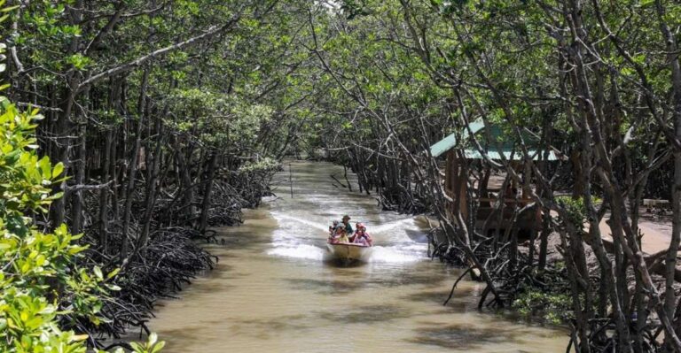 Can Gio Mangrove Biosphere Reserve 1 Day