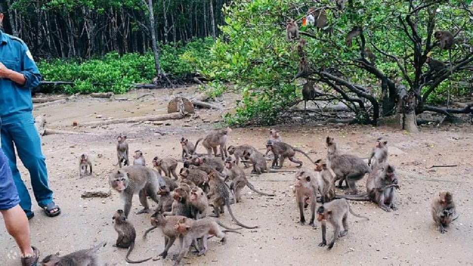 Can Gio Mangrove Forest and Monkey Island Full Day Tour - Tour Overview and Pricing