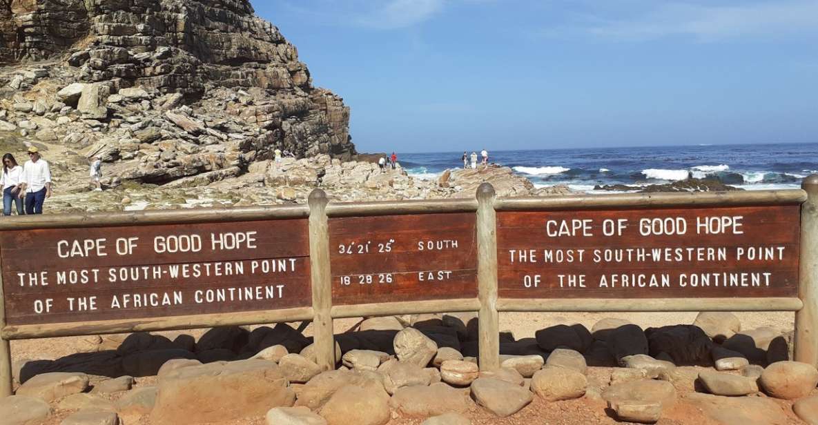 Cape of Good Hope: Sightseeing and African Penguins Tour - Tour Overview and Pricing