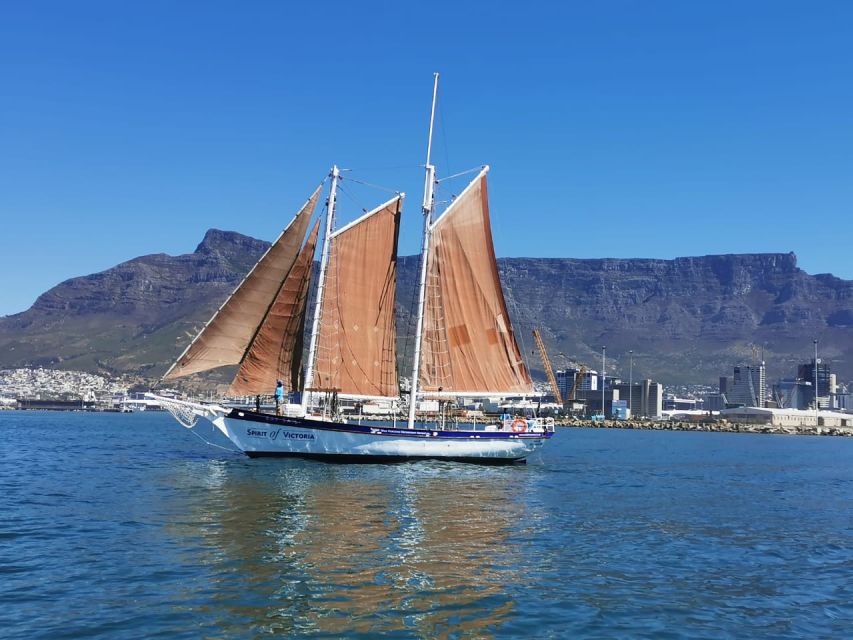 Cape Town: 1 Hour Table Bay Sailing Tour - Overview of the Tour