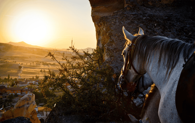 Cappadocia Horse Riding &Atv Quad Bike & Shooting With Camel - Customer Reviews