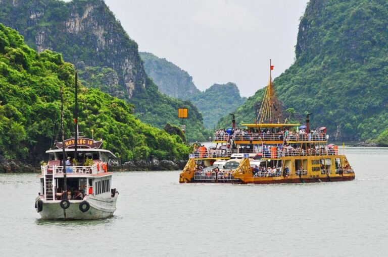 Cat Ba Island Day Trip From Ha Long City