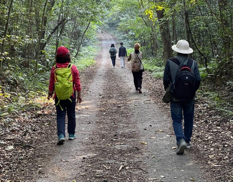 Cat Ba National Park Day Trip: Trekking, Cycling, Kayaking