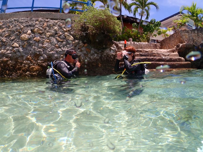 Cebu Mactan:Scuba Diving Experience Beach 1or2 Dive. - Activity Overview