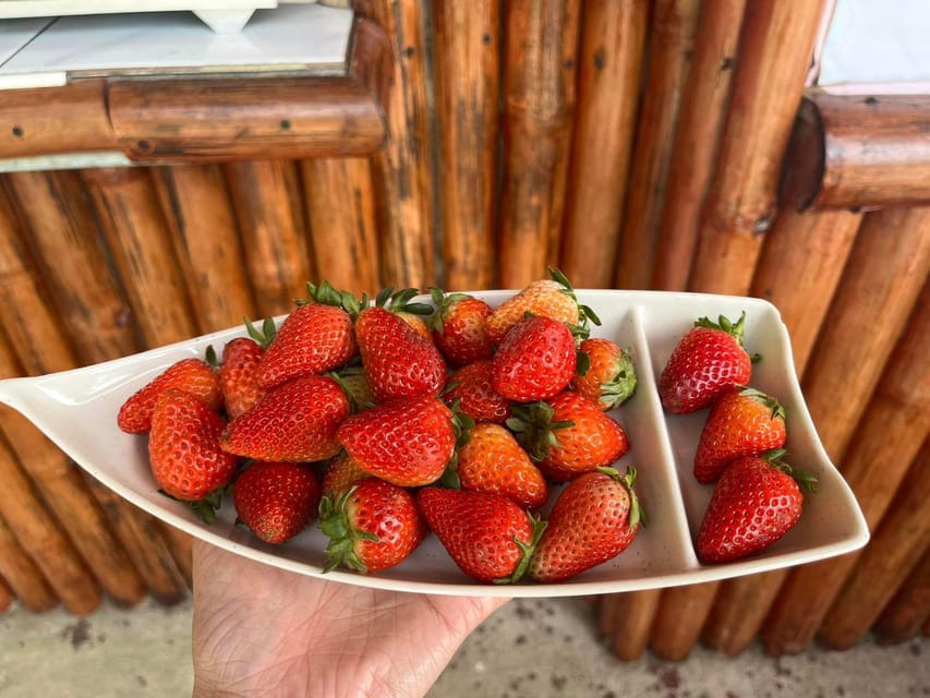 Cebu | West Highland Tour With Strawberry Farm (Private) - Tour Overview and Pricing