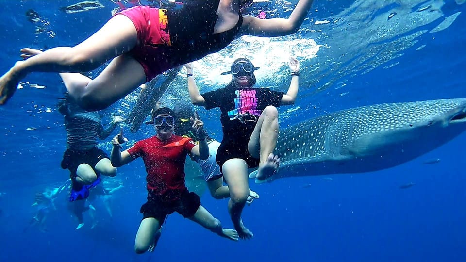 Cebu: Whale Shark Swim and Kawasan Canyoneering Group Tour - Tour Overview and Pricing