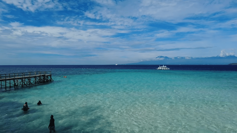 Cebu: Whale Shark Watching, Tumalog Falls & Sumilon Island - Tour Overview