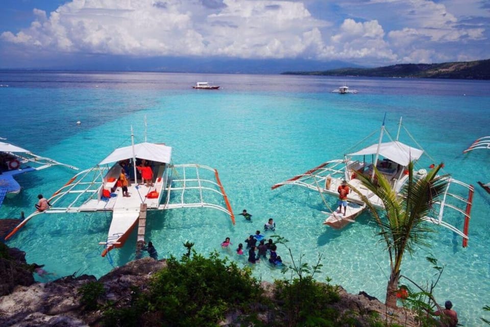 Cebu: Whale Sharks, Tumalog Falls & Sumilon Sand Bar Tour - Tour Overview and Pricing